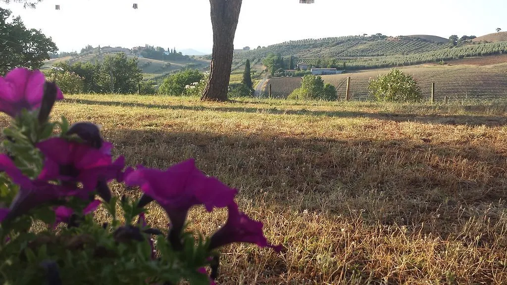 Agriturismo Podere Selvette Campagnatico Apartman