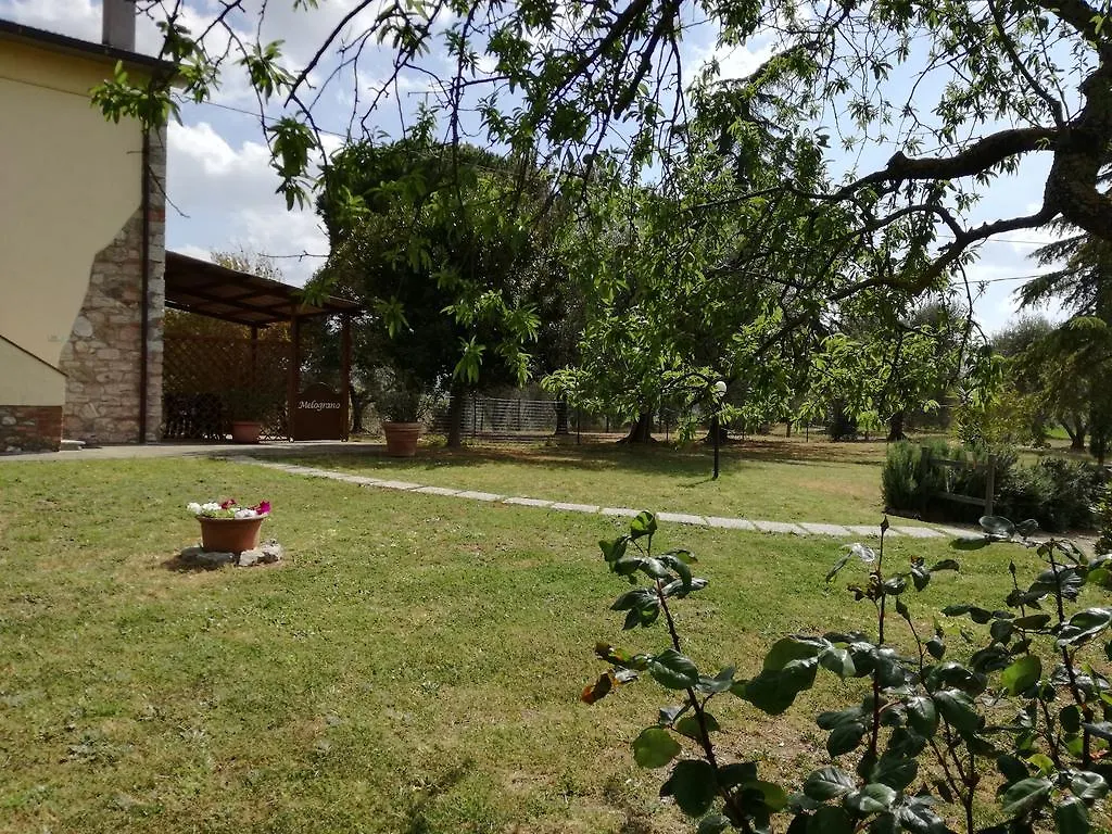 Agriturismo Podere Selvette Campagnatico Olaszország