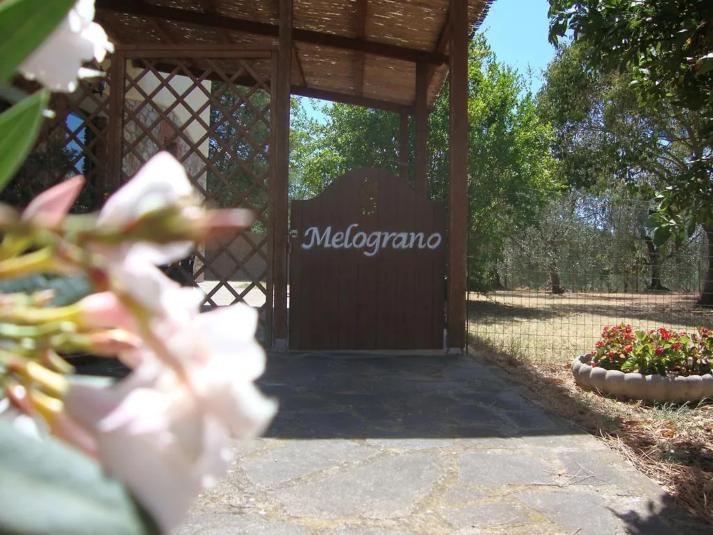 Agriturismo Podere Selvette Campagnatico Appartamento