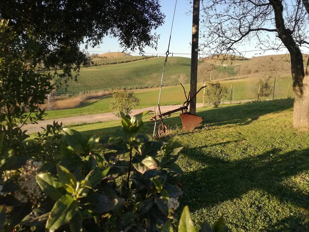 Agriturismo Podere Selvette Campagnatico Appartamento